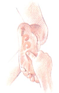 Coge el pie con una mano. Con el pulgar de la otra haz movimientos circulares y profundos; comienza cerca de los dedos y ves hacia el talón. Coge el pie con una mano. Con el pulgar de la otra haz movimientos circulares y profundos; comienza cerca de los dedos y ves hacia el talón.